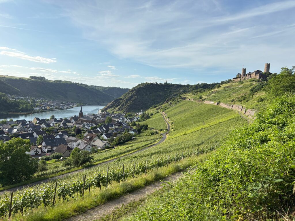 Croisière sur le Rhin : itinéraires, prix et meilleures escales